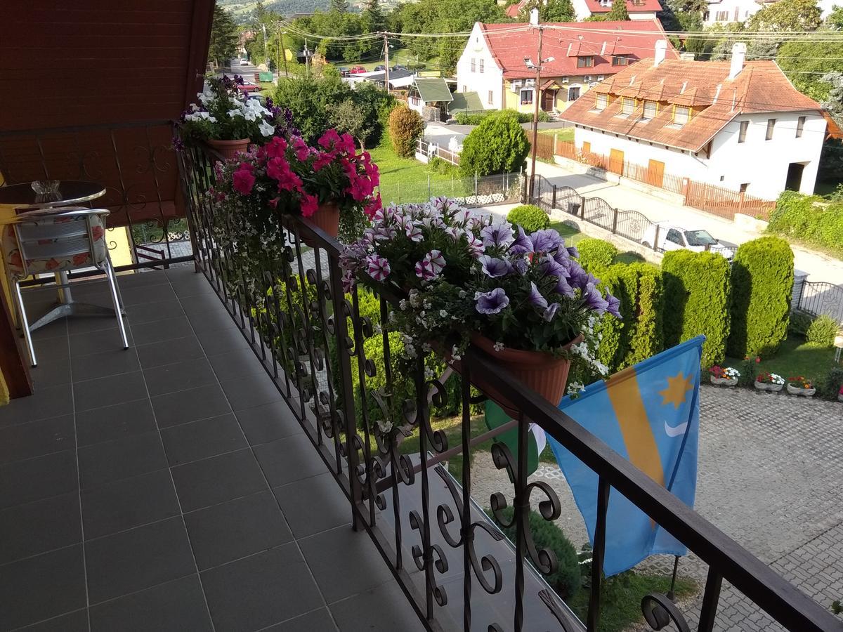Anna Ilona Vendeghaz Hotell Badacsonytomaj Exteriör bild