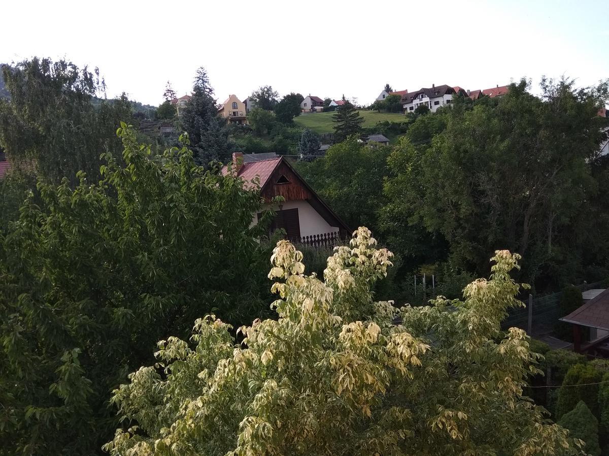 Anna Ilona Vendeghaz Hotell Badacsonytomaj Exteriör bild