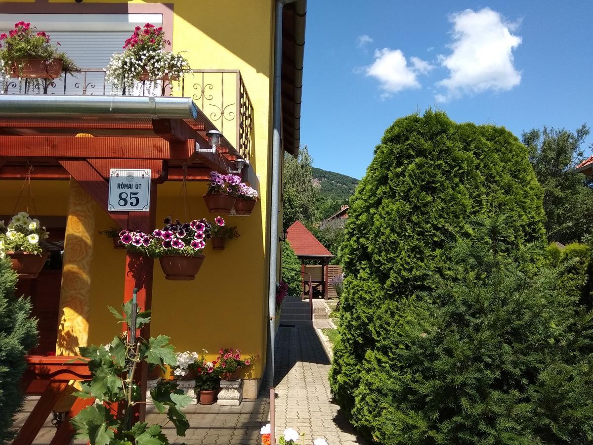 Anna Ilona Vendeghaz Hotell Badacsonytomaj Exteriör bild